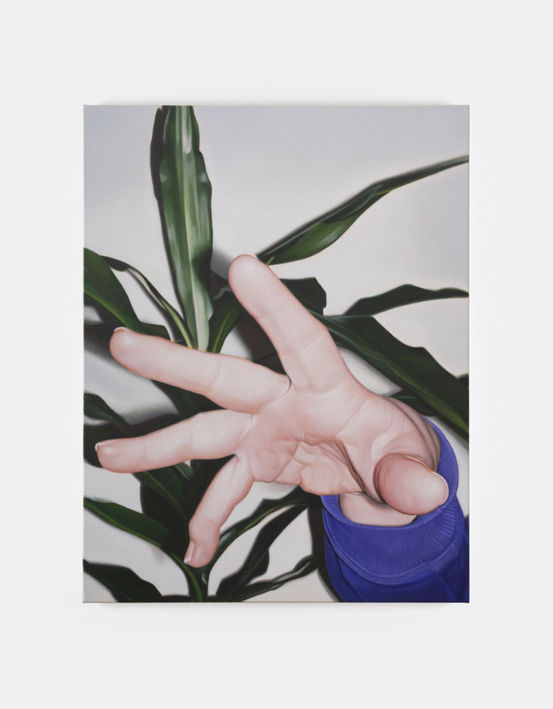 Marcel Vidal&amp;nbsp;

Hand and plant, 2025

oil on linen

90 x 70 cm / 35.4 x 27.6 in&amp;nbsp; &amp;nbsp;