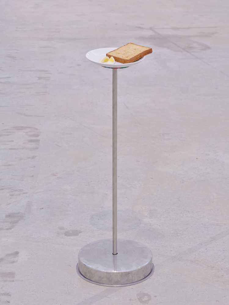 Andy Fitz
Now now, 2026
VISUAL, Carlow, Ireland