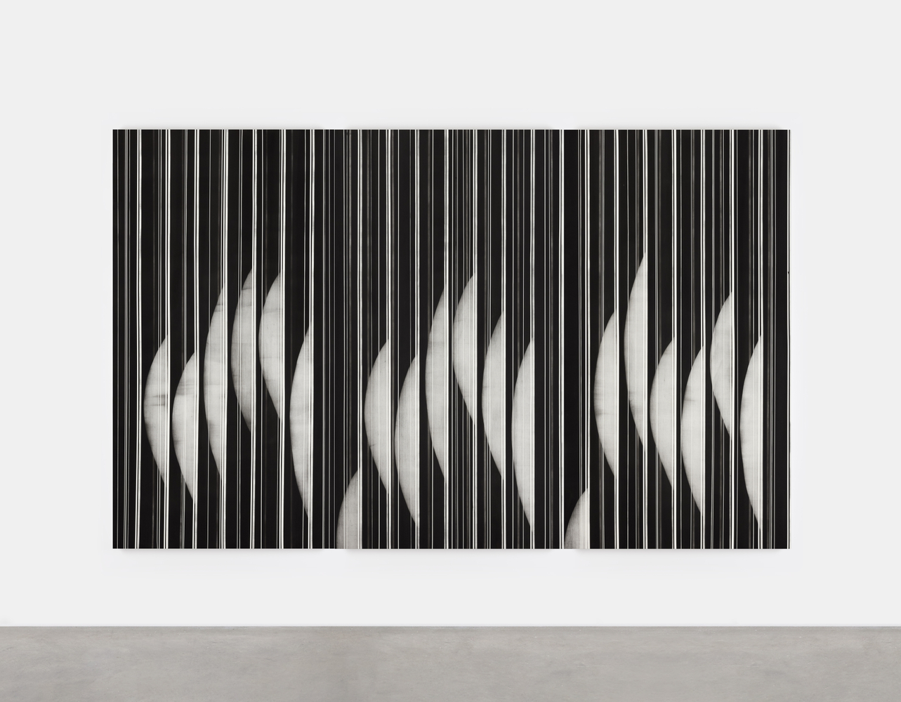 Mark Francis&amp;nbsp;
Linear Mass (I, II, III),&amp;nbsp;2025
charcoal on paper
each panel 200 x 105 cm /&amp;nbsp;&amp;nbsp;78.7 x 41.3 in&amp;nbsp;
