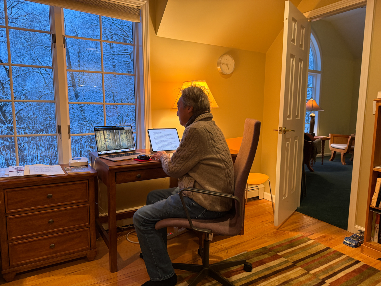 ニューヨークは大雪なので数日アトリエには行けません。それで自宅で溜まった原稿を書いています。今書いているのは、東京国立近代美術館で3月17日から開催される下村観山展の月刊美術の解説文です。非西洋のモダニズムは明治期にこの観山、そして竹内栖鳳により骨格が作られ、現代の日本画に繋がったと私は考えています。