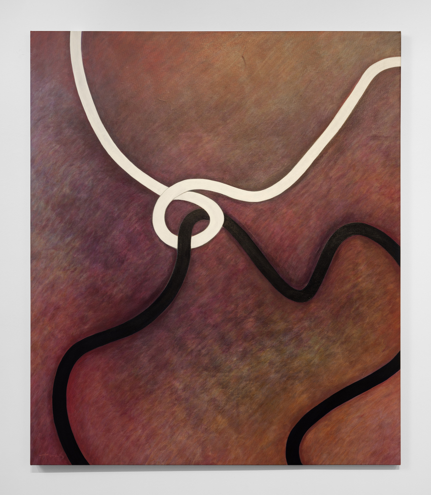 Mimi Chen Ting (1946-2022)
Tangles and Ties 4, 2006&amp;nbsp;
acrylic on canvas
54 x 46 inches;&amp;nbsp;&amp;nbsp;137.2 x 116.8 centimeters
LSFA# 16545&amp;nbsp;