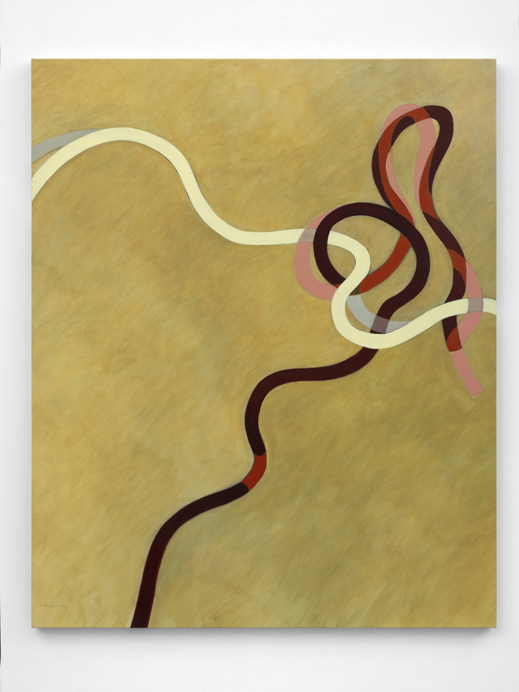 Mimi Chen Ting (1946-2022)
Tangles and Ties 3, 2006
acrylic on canvas
54 x 44 inches;&amp;nbsp; 137.2 x 111.8 centimeters
LSFA# 15528