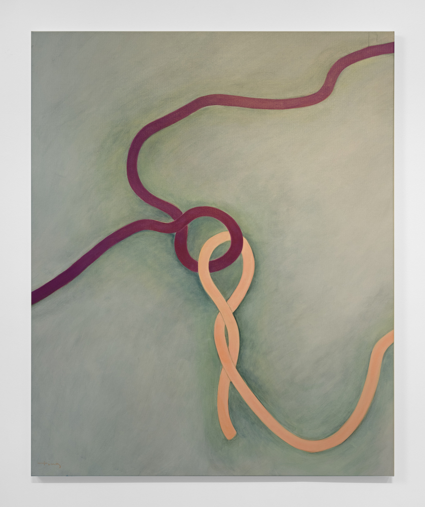 Mimi Chen Ting (1946-2022)
Tangles and Ties 2, 2006&amp;nbsp;
acrylic on canvas
54 x 44 inches;&amp;nbsp;&amp;nbsp;137.2 x 111.8 centimeters
LSFA# 16544&amp;nbsp;