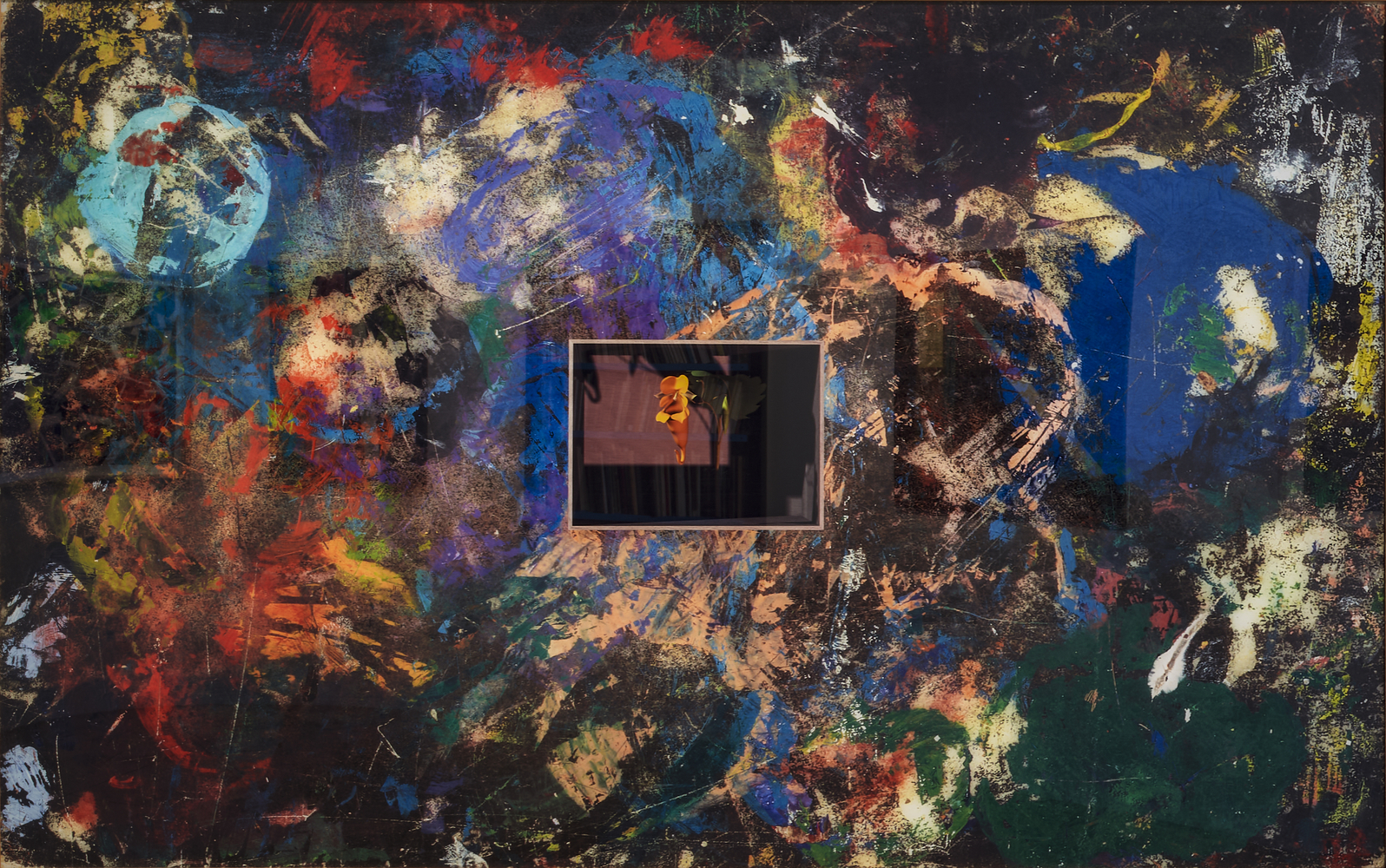 MANUAL (Hill &amp; Bloom) Wildflower (jewelweed), 2002 lambda photographic print, ed: 5 42 3/4'' x 68 1/4'', M 394, Moody Gallery