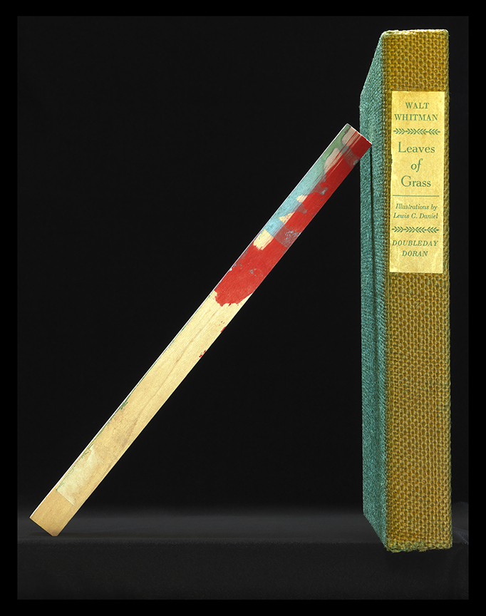 MANUAL (Hill &amp; Bloom) Leaves of Grass, 2017 archival pigment print, ed: 5 36" x 28 3/8", M 615, Moody Gallery