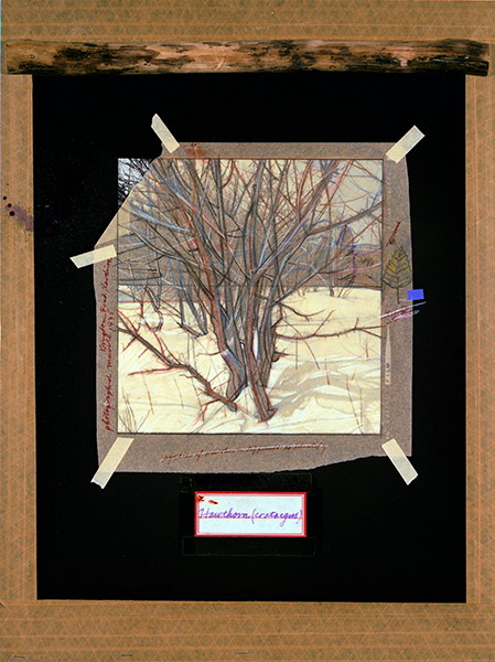 MANUAL (Hill &amp; Bloom) 13 Ways of Coping with Nature (Hawthorn), 1980-81 color-coupler print, ed: 1/1 unique 18 5/8" x 15", M 39, Moody Gallery