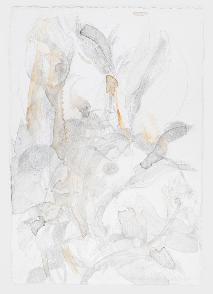 James Drake Untitled, 2026 silverpoint, ink on gessoed paper 11 1/2'' x 8'' JD 428, Moody Gallery