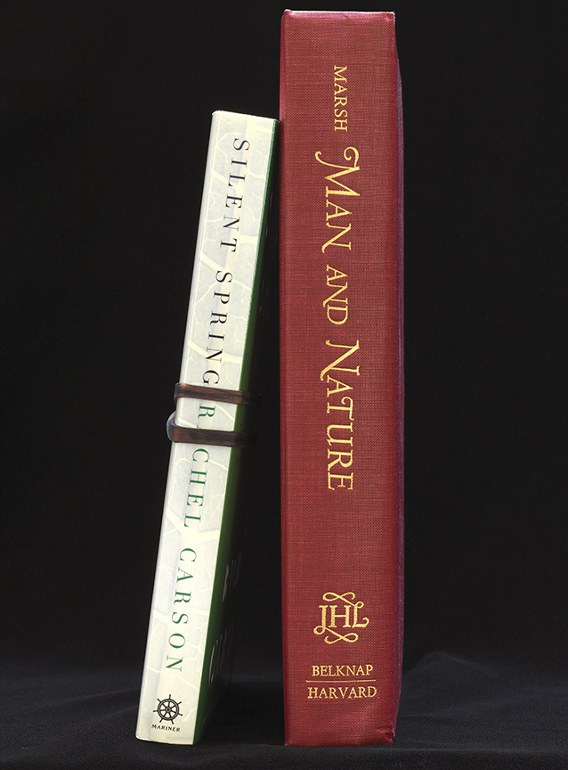 MANUAL (Hill &amp; Bloom) SILENT...NATURE, 2017 archival pigment print, ed: 5 38" x 28 1/2", M 623, Moody Gallery