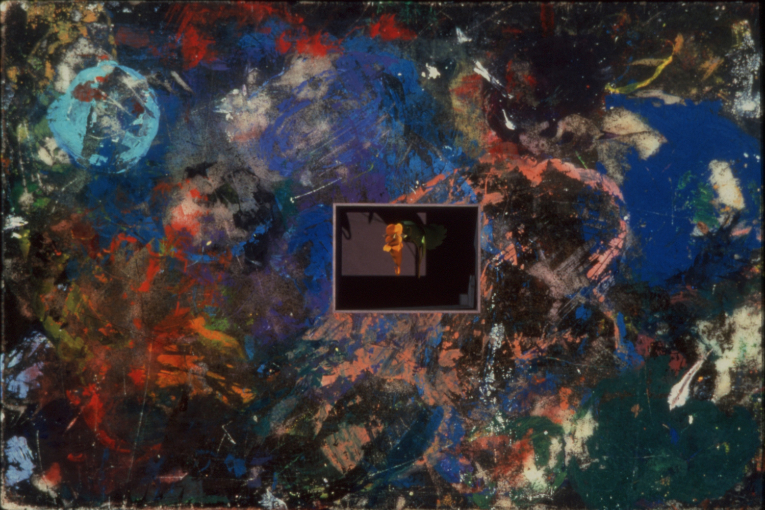 MANUAL (Hill &amp; Bloom) Wildflower (jewelweed), 2002 lambda photographic print, ed: 5 42 3/4'' x 68 1/4'' ed: 1/5 framed - gallery M 394, Moody Gallery