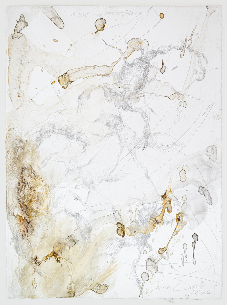 James Drake Untitled, 2026 silverpoint, ink on gessoed paper 15 1/4'' x 11 1/4'' JD 429, Moody Gallery
