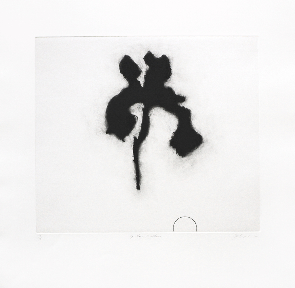 Jo Smail&amp;nbsp;
Up From Nowhere, 2004
Etching
23 x 22 1/2 in. (58.4 x 57.1 cm)
Edition of 15
Published by Goya Contemporary / Goya-Girl Press
SMA-0101-CO