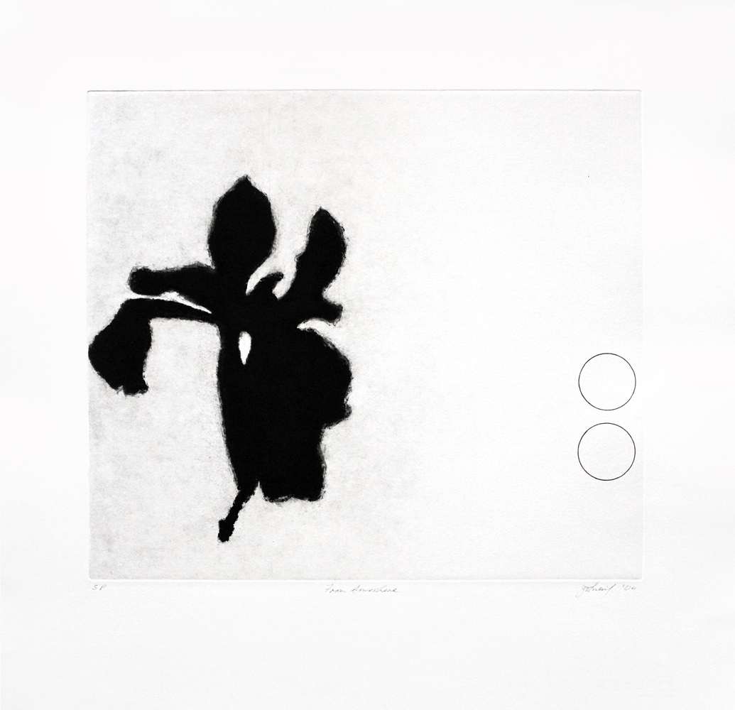 Jo Smail&amp;nbsp;
From Somewhere,&amp;nbsp;2004
Etching
22 1/2 x 23 in. (57.1 x 58.4 cm)
Edition of 15
Published by Goya Contemporary/Goya-Girl Press
SMA-0095-CO