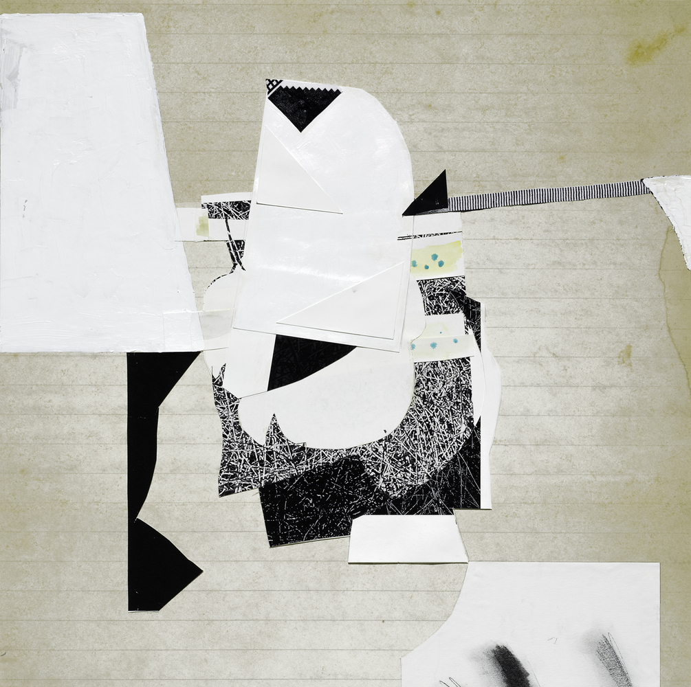 Sex Life of a Mosquito, 2025
Pigment prints, acrylic, charcoal, watercolor, pen, fabric, collage on board
24 x 24 in. (61 x 61 cm)
Smai-1630-C