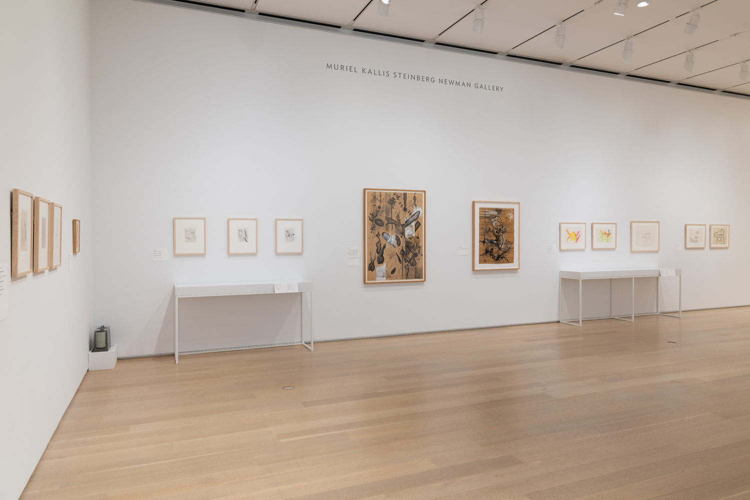 Installation view, Carroll Dunham, Drawings, 1974 &amp;ndash; 2024, The Art Institute, Chicago, 2026
