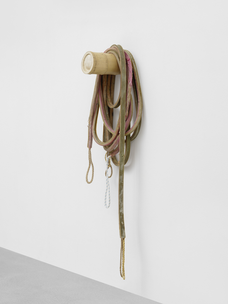 Loop 5

2021

Latex, rope, bamboo, pigment, talcum

Approx. 160 x 30 x 30 cm / 63 x 11 3/4 x 11 3/4 in

&amp;copy; Ugo Rondinone