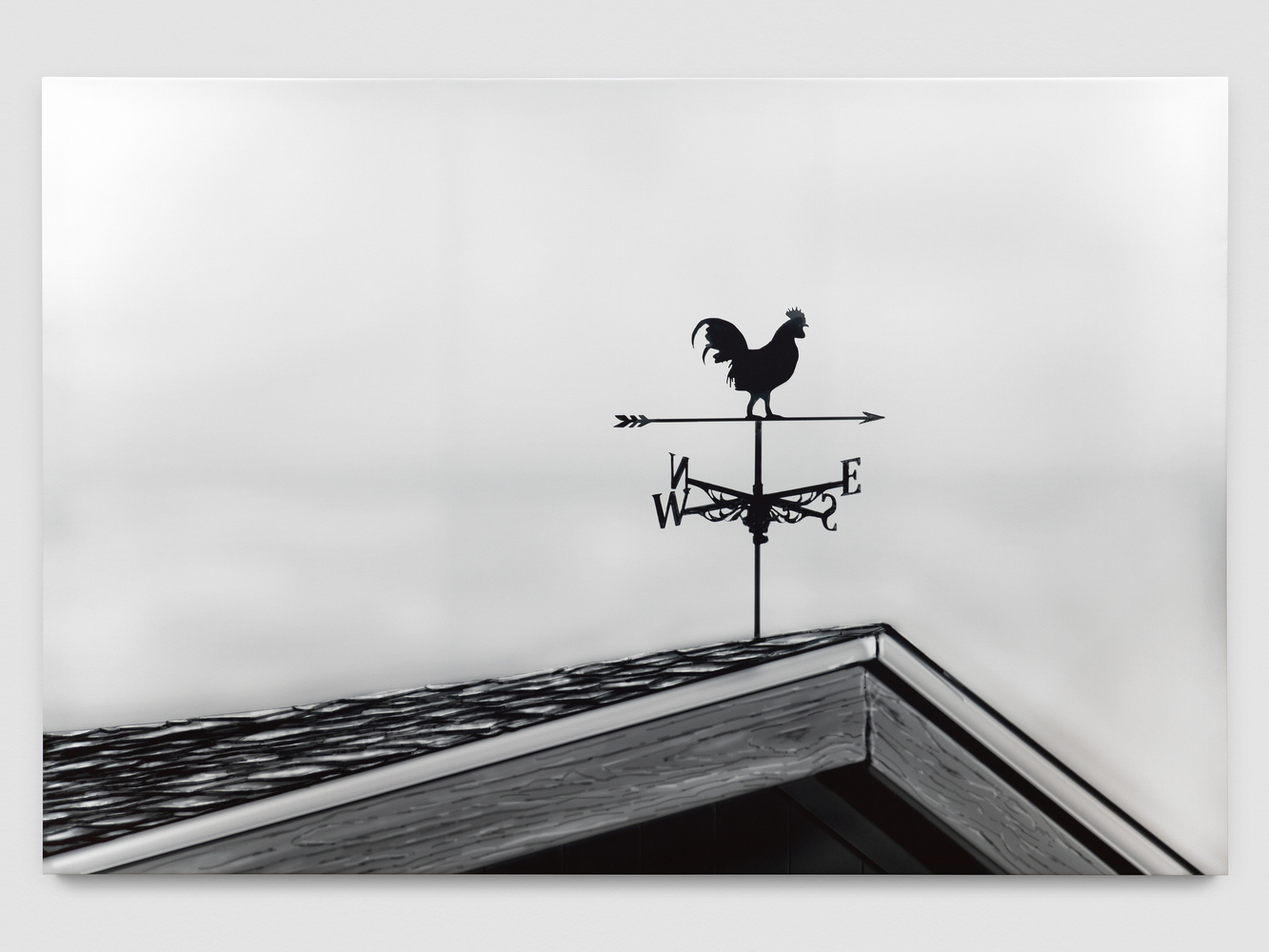 Weather Vane

2026

Ink on PVC 200 x 300 cm / 78 3/4 x 118 1/8 in

&amp;copy; Louisa Gagliardi