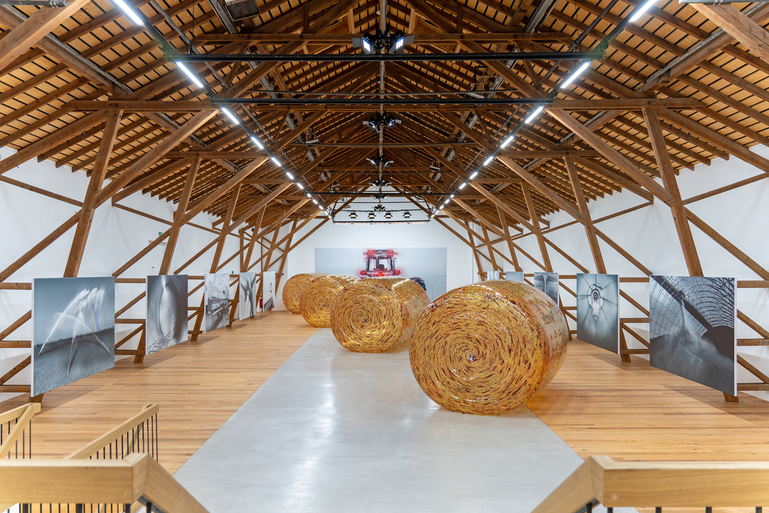 Installation view, Louisa Gagliardi &amp;amp; Adam Cruces, MERGERS AND ACQUISITIONS, Ferme-Asile, Sion, 2026
Photo: Adam Cruces