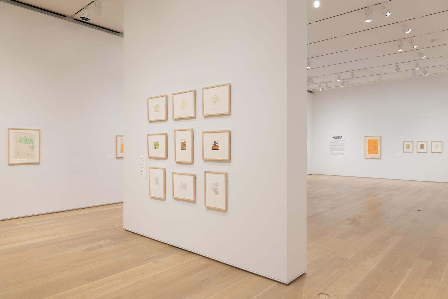 Installation view, Carroll Dunham, Drawings, 1974 &amp;ndash; 2024, The Art Institute, Chicago, 2026