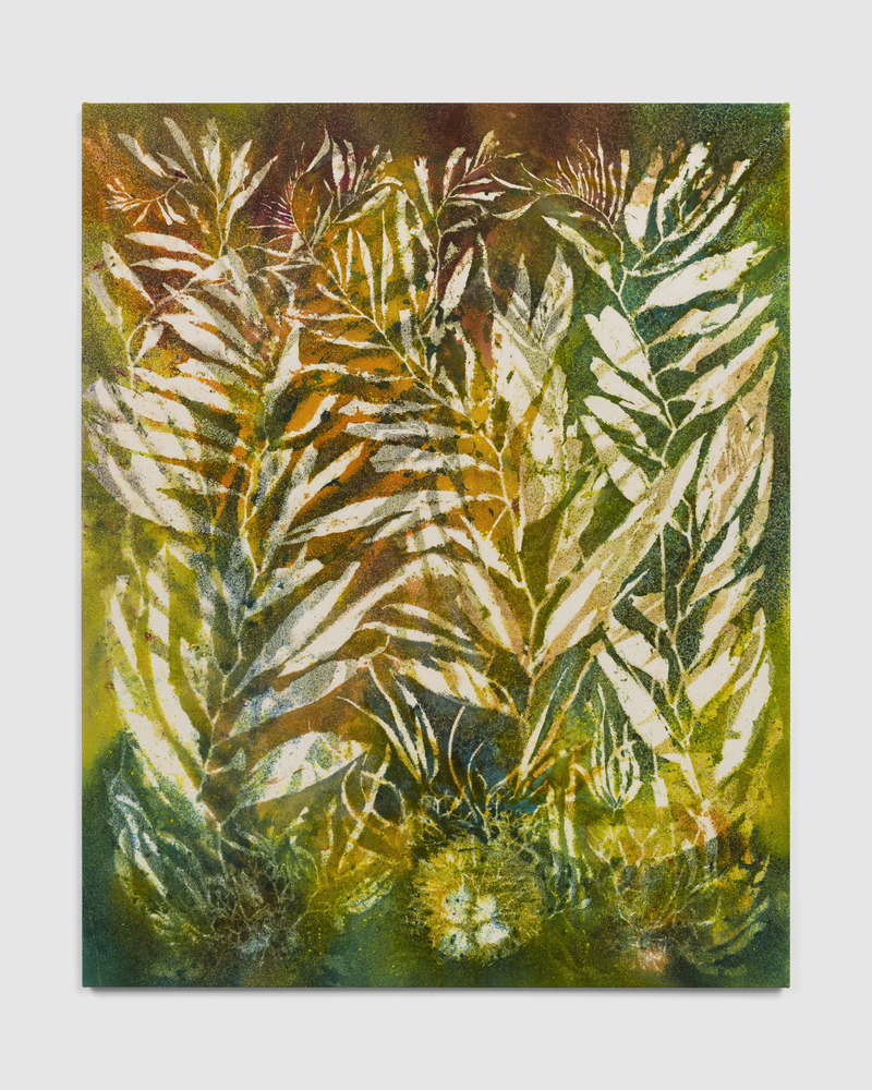 Above as Below (Malibu)

2025

Pigment on canvas

152.5 x 122 cm / 60 x 48 in

&amp;copy; Sam Falls