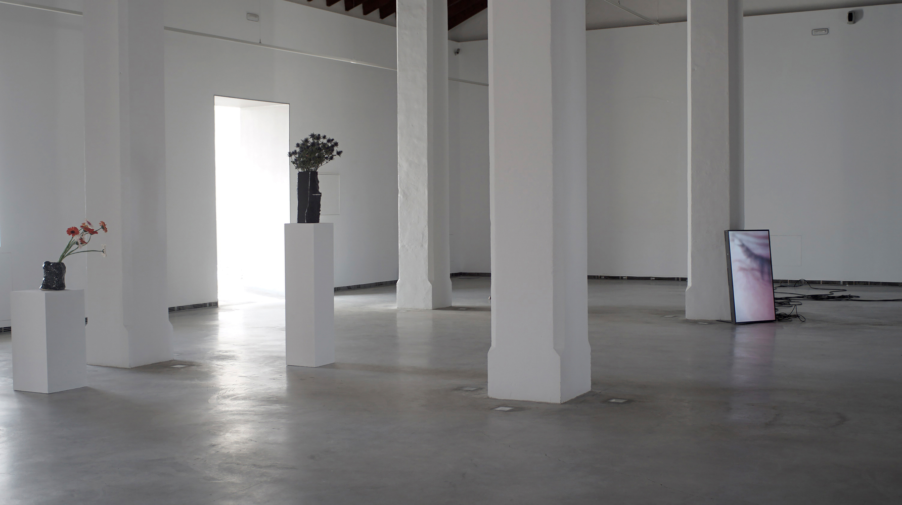 Installation view of sculptures by Douglas Gordon