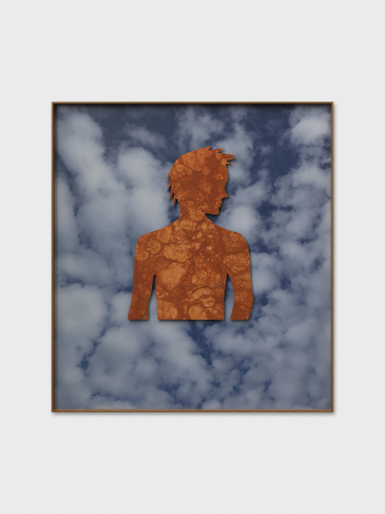 L&amp;#39;inqui&amp;egrave;te silhouette

2017

MDF, inkjet print on adhesive paper, oil paint

132 x 120 x 6 cm / 52 x 47 1/4 x 2 3/8 in

&amp;copy; Valentin Carron