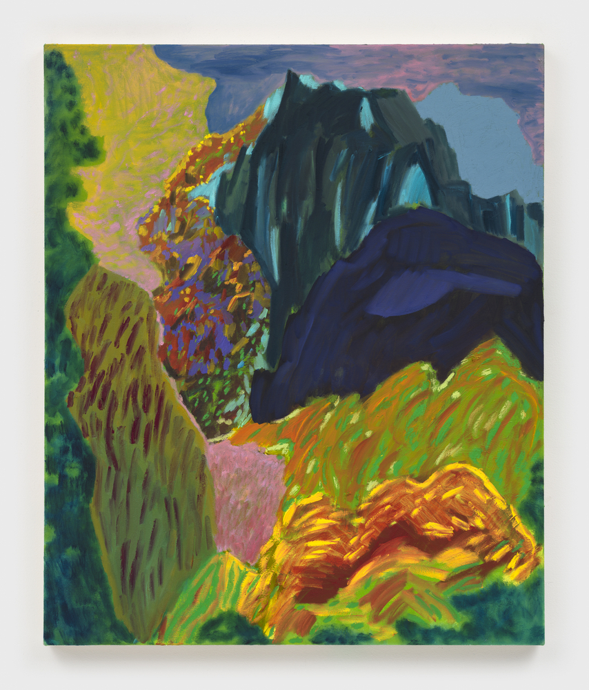 Hard to Navigate

2024

Oil and acrylic on canvas

91.5 x 76 cm / 36 x 30 in

&amp;copy; Shara Hughes