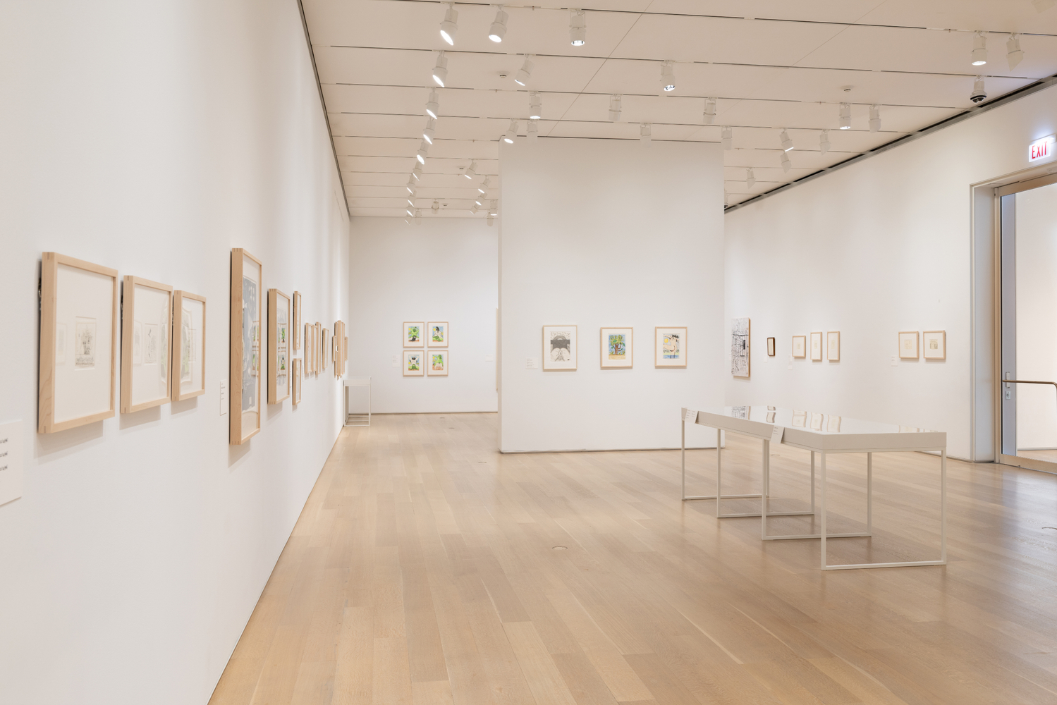 Installation view, Carroll Dunham, Drawings, 1974 &amp;ndash; 2024, The Art Institute, Chicago, 2026