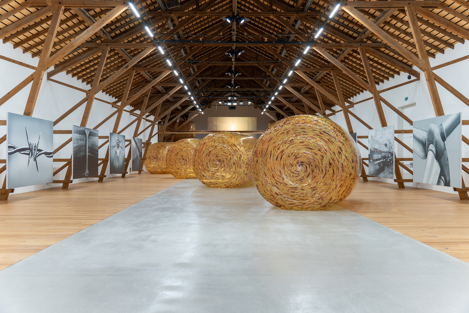 Installation view, Louisa Gagliardi &amp;amp; Adam Cruces, MERGERS AND ACQUISITIONS, Ferme-Asile, Sion, 2026
Photo: Adam Cruces