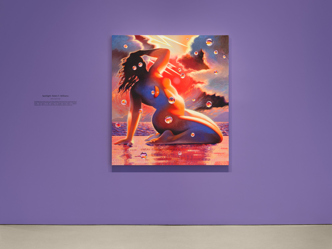 Installation view of&amp;nbsp;Spotlight: Robin F. Williams&amp;nbsp;at The FLAG Art Foundation, 2026. Photography by Steven Probert Studio.