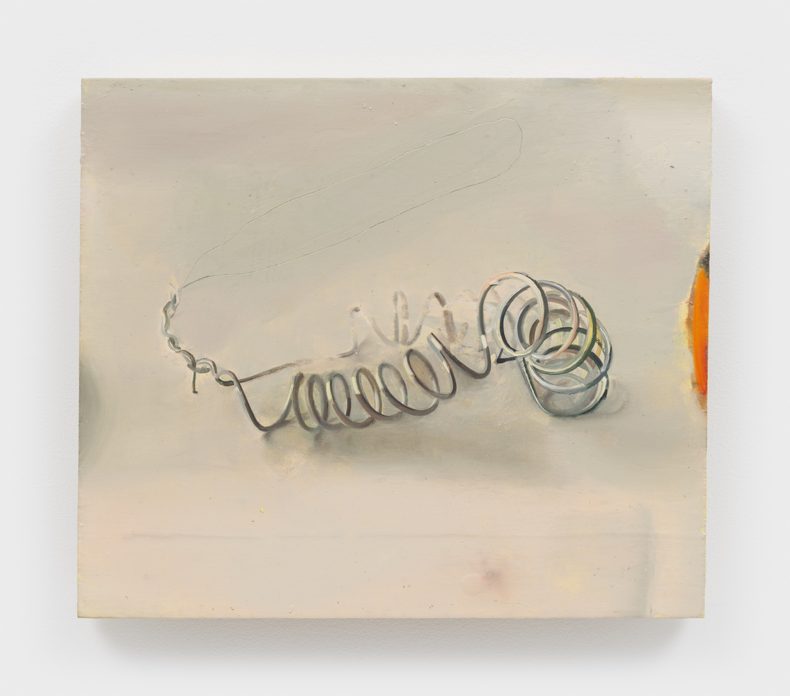 Phoebe Helander
Wire Form IV, 2026
oil on wood
11 1/4 x 13 x 1 ins.
28.6 x 33 x 2.5 cm