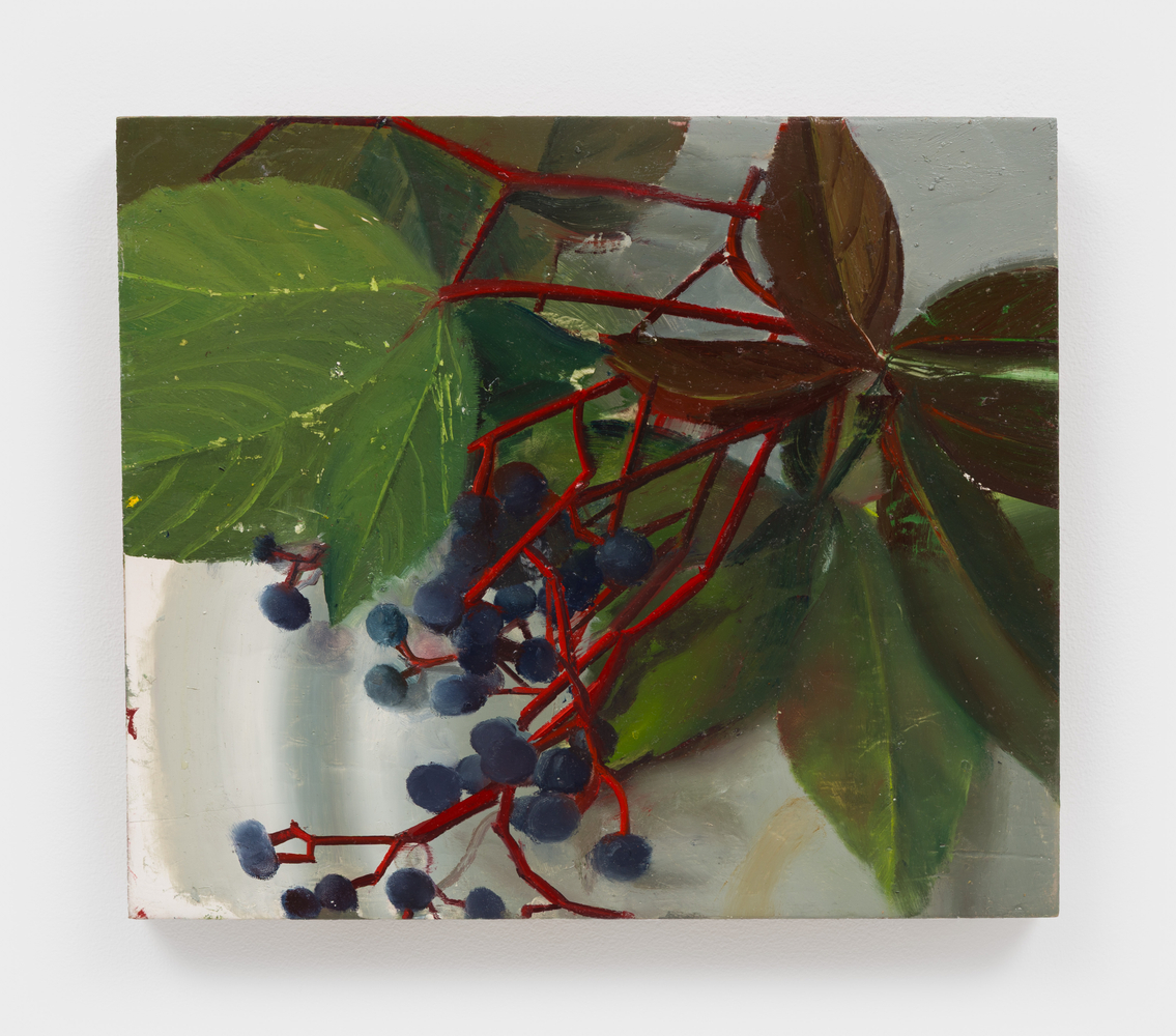 Phoebe Helander
False Virginia Creeper on Studio Table, 2026
oil on wood
11 1/8 x 13 ins.
28.3 x 33 cm