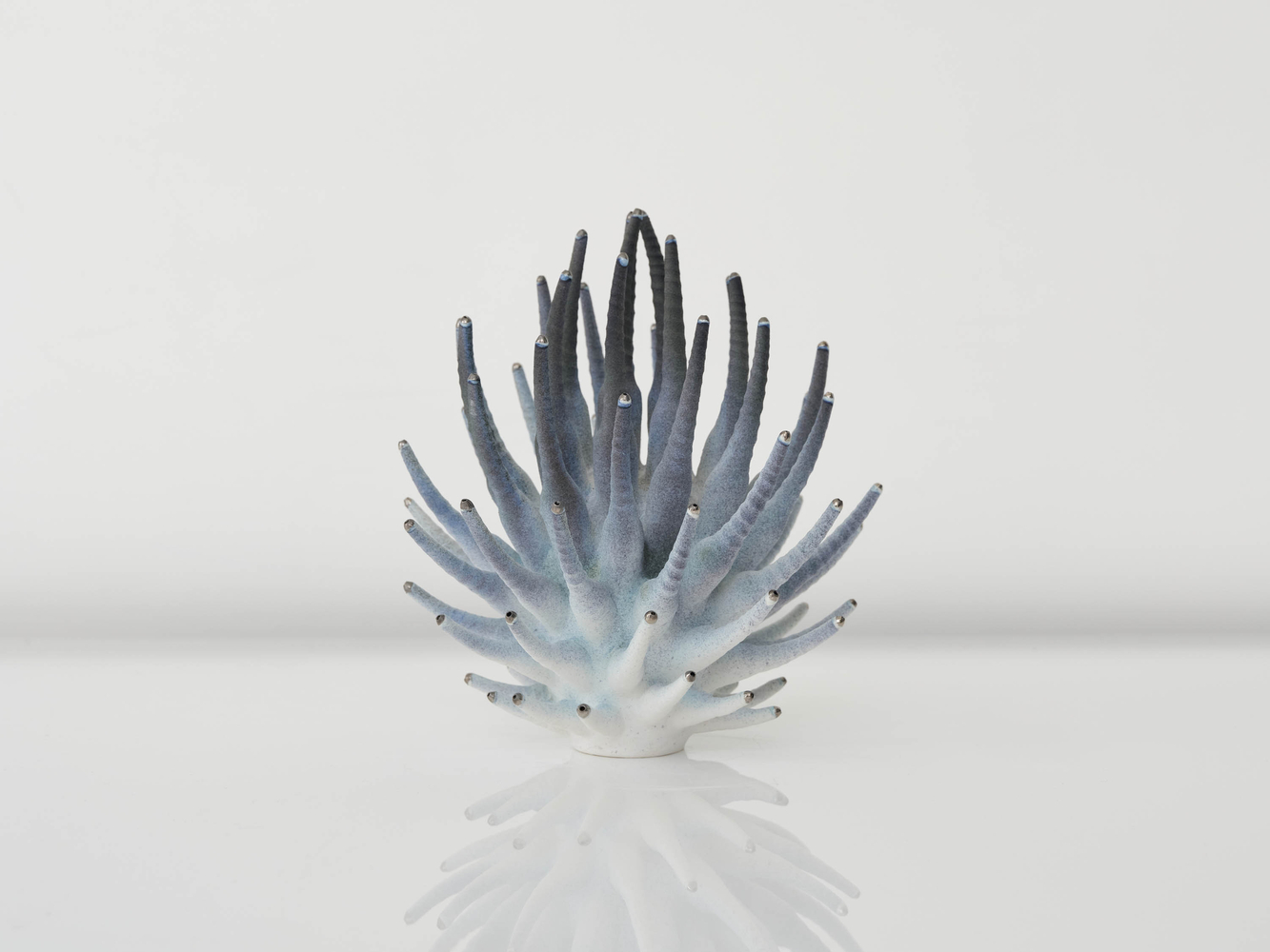 EVA ZETHRAEUS

Purple and Grey Calliandra with Platinum Details, 2025

Glazed porcelain, platinum

11.5&amp;quot; H x 9.75&amp;quot; Dia.
