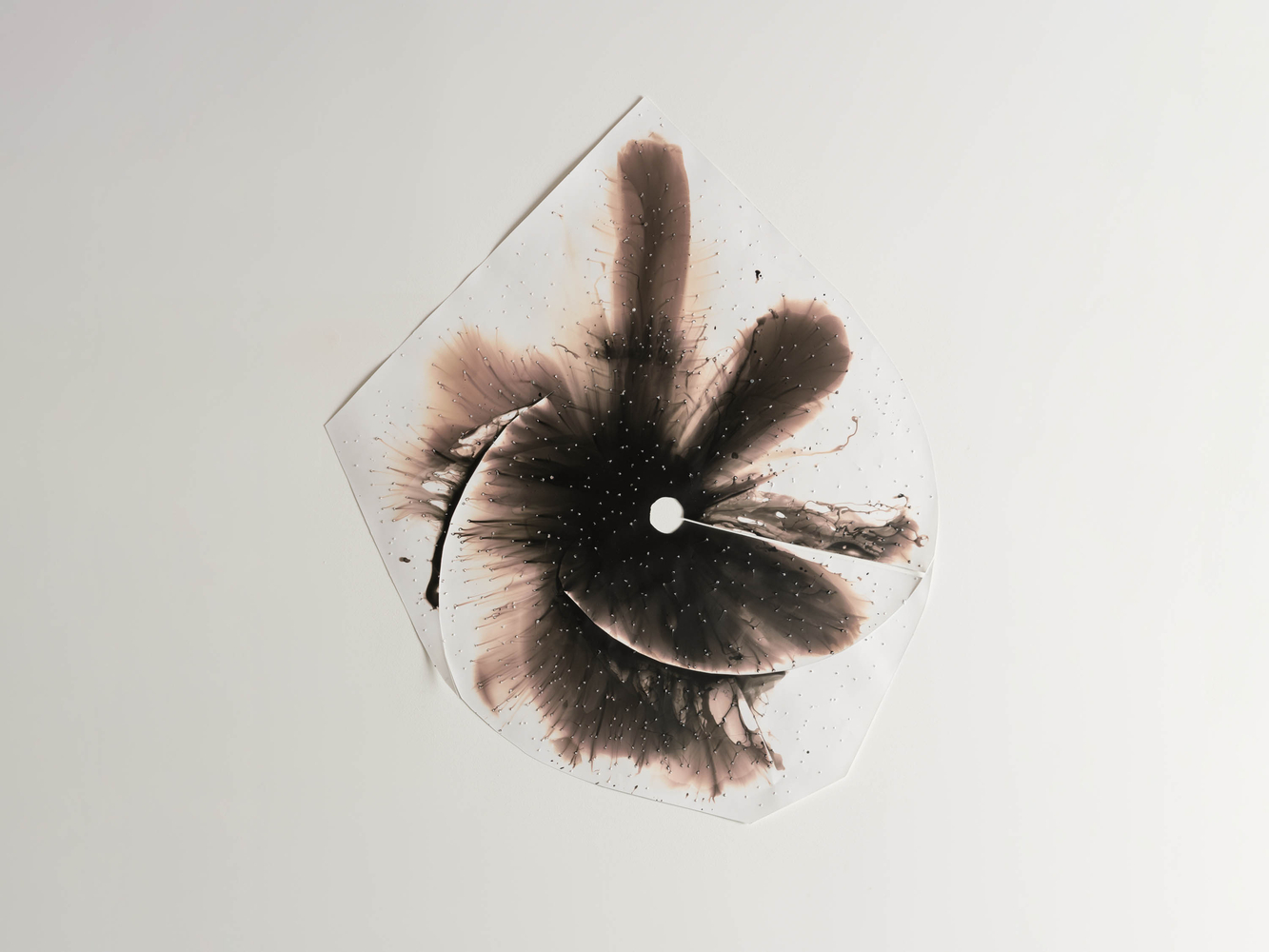 Zimra Beiner

Percolator, 2025

Silver gelatin print on paper

32.25&amp;quot; H x 27.5&amp;quot; W