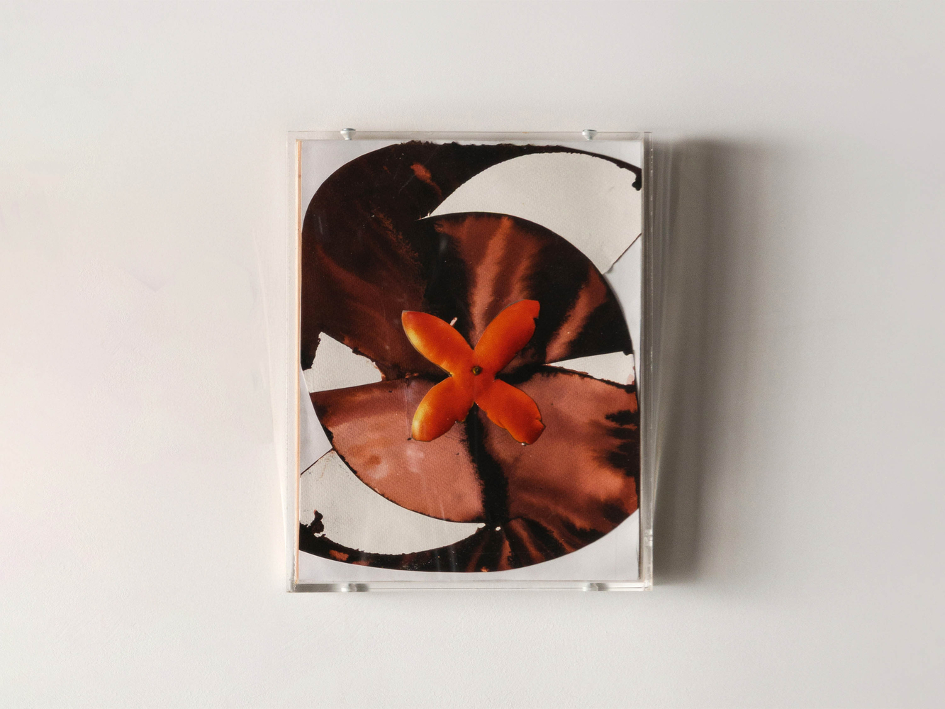 Zimra Beiner

Percolator, 2025

Silver gelatin print and ink on paper in Artist&amp;rsquo;s frame

11.5&amp;quot; H x 9&amp;quot; W 1.75&amp;quot; D