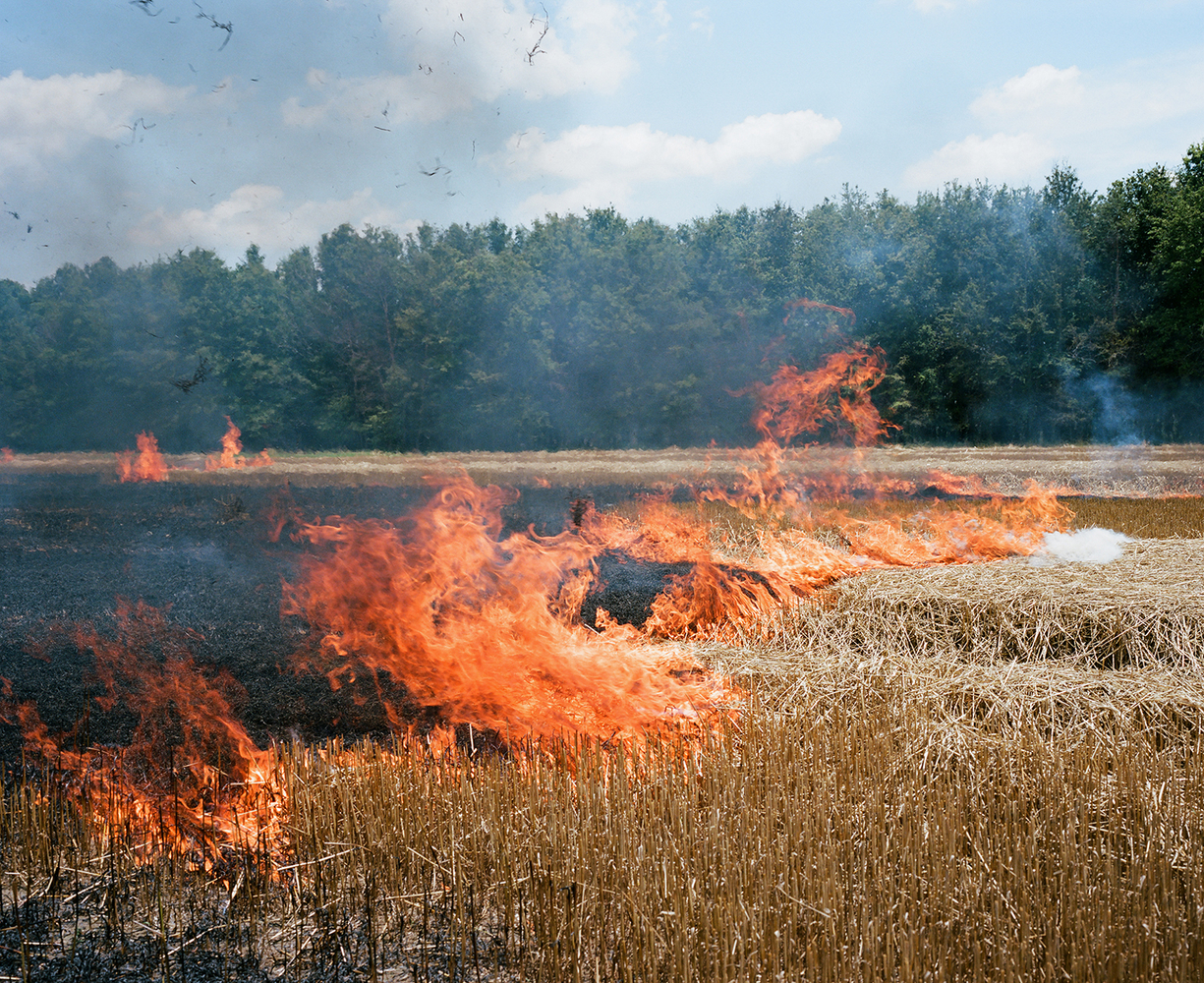 Matt Eich
Burn the fields, Mississippi,&amp;nbsp;2014
Archival pigment print&amp;nbsp;
Edition of 10
24 x 30 in.&amp;nbsp;