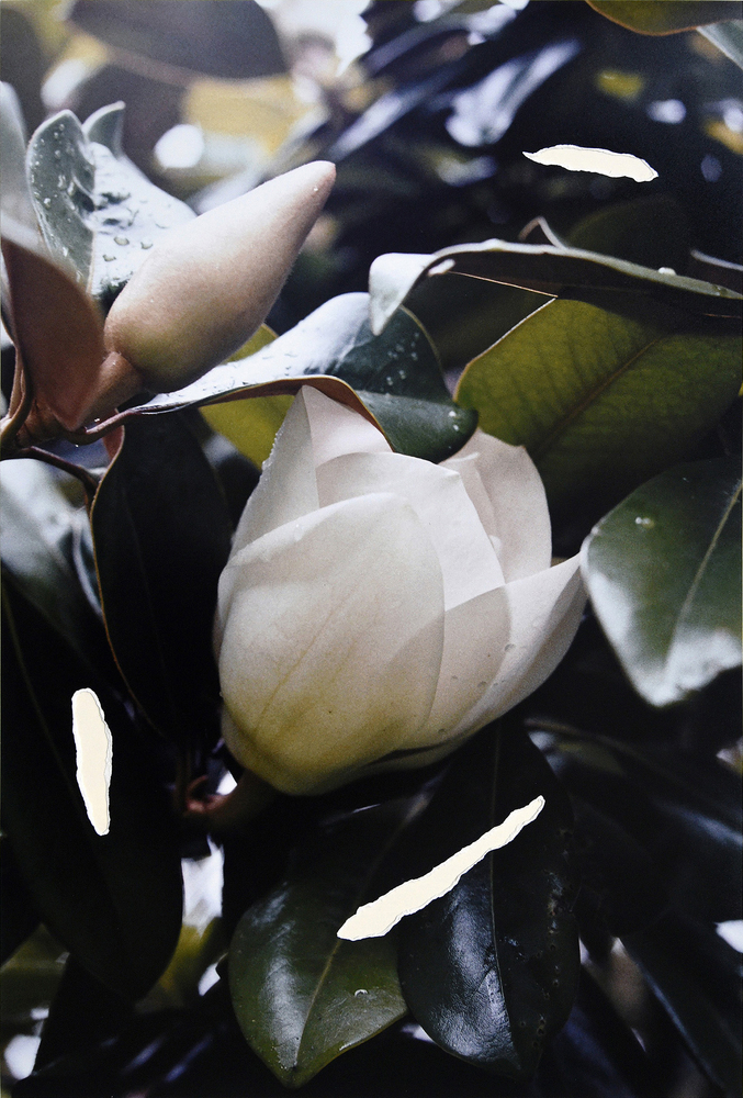 Constanza Piaggio
Sharp Memories, Cut #26, 2023
Pigment print, purple paper, signed verso
Unique&amp;nbsp;
11.9 x 17.7 in.