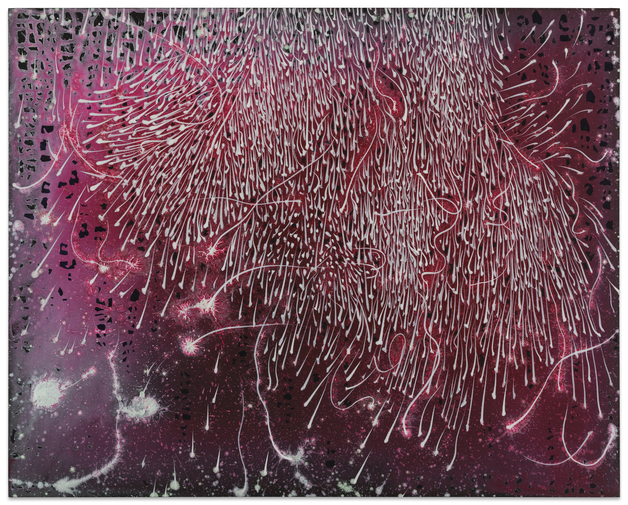 Barbara Takenaga Falling (black tracings), 2015 acrylic on wood panel 24 x 30 in.