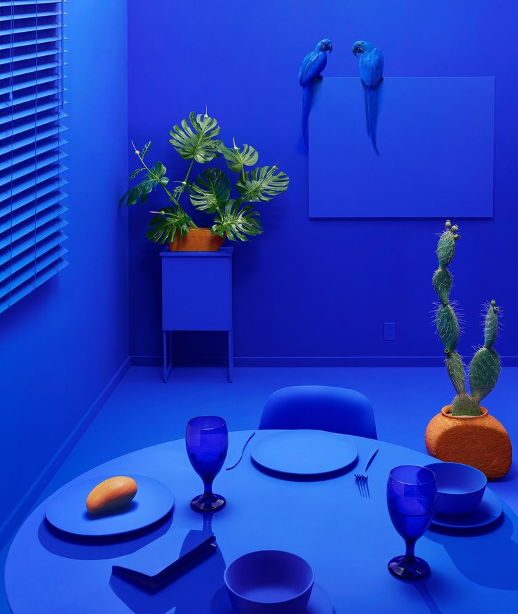 Dean West, Still Life # 3, (Jardin Majorelle) Requiem, 2021
