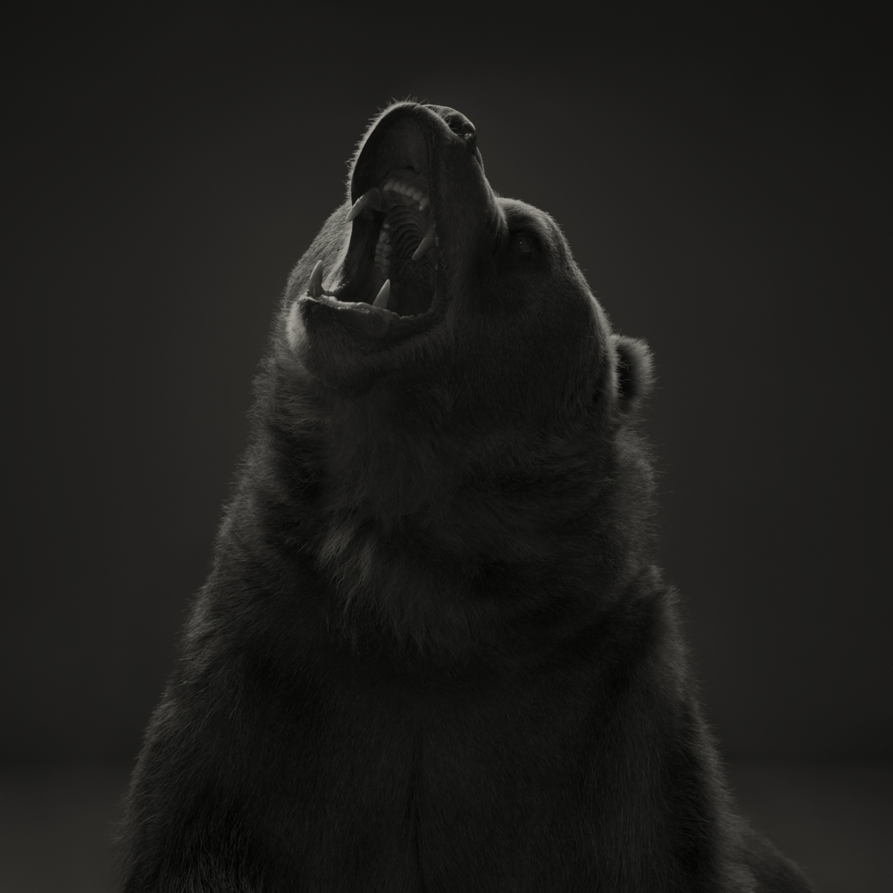 Dean West  Kodiak Bear # 2, American West, 2024