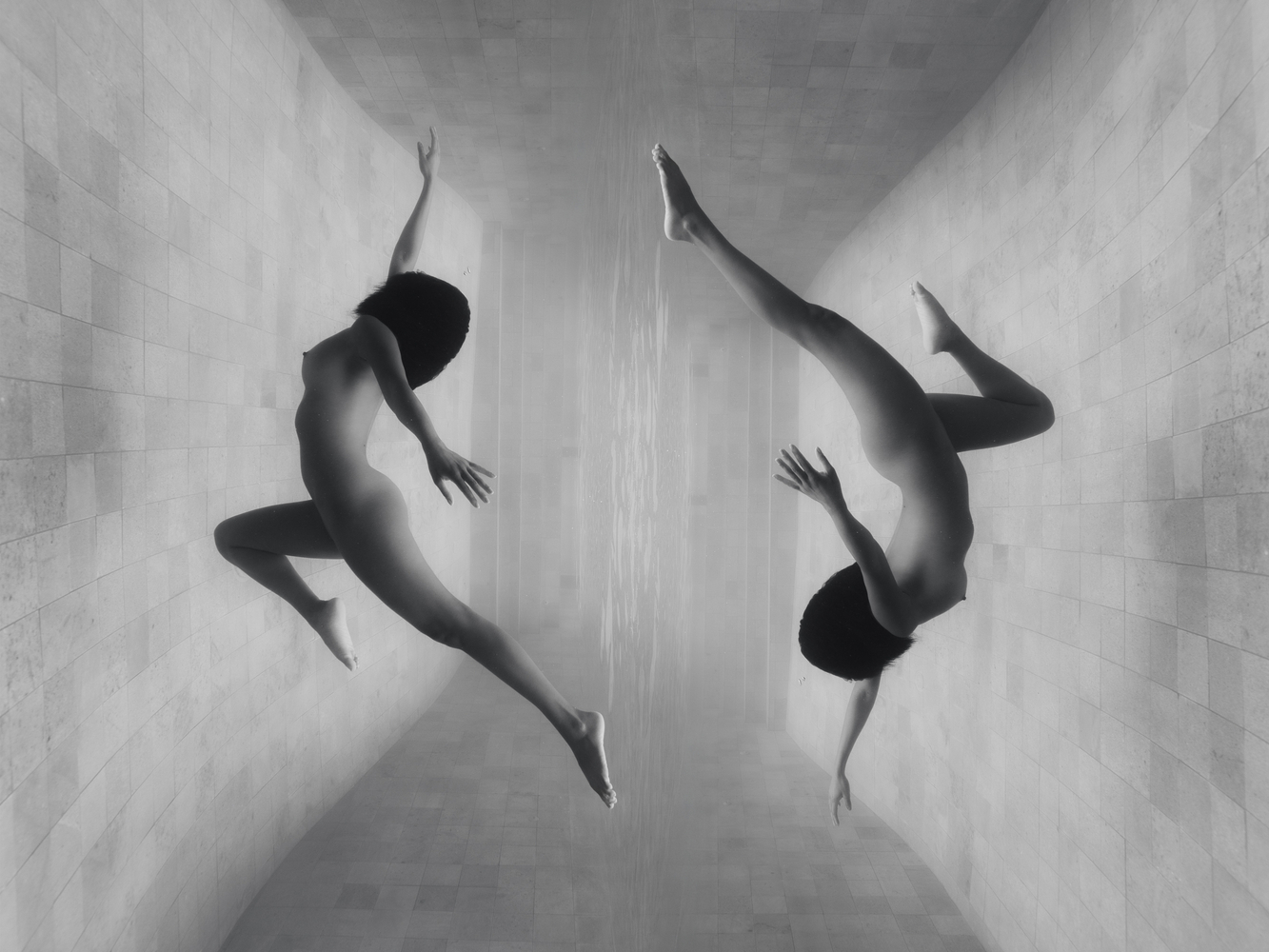 Phoebe Fitz, Discernment, 2025