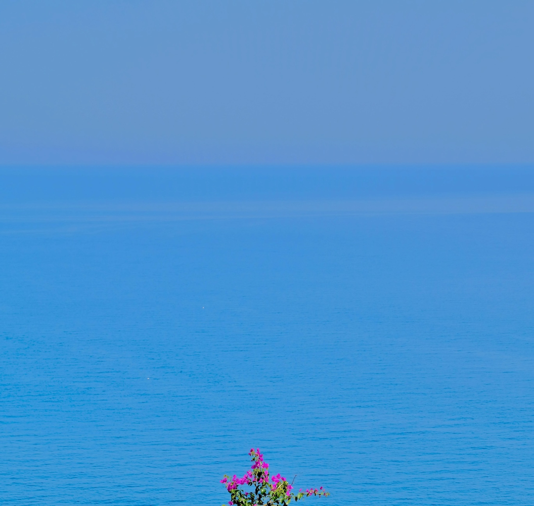 Christophe von Hohenberg, Untitled Color Series IV, 2024