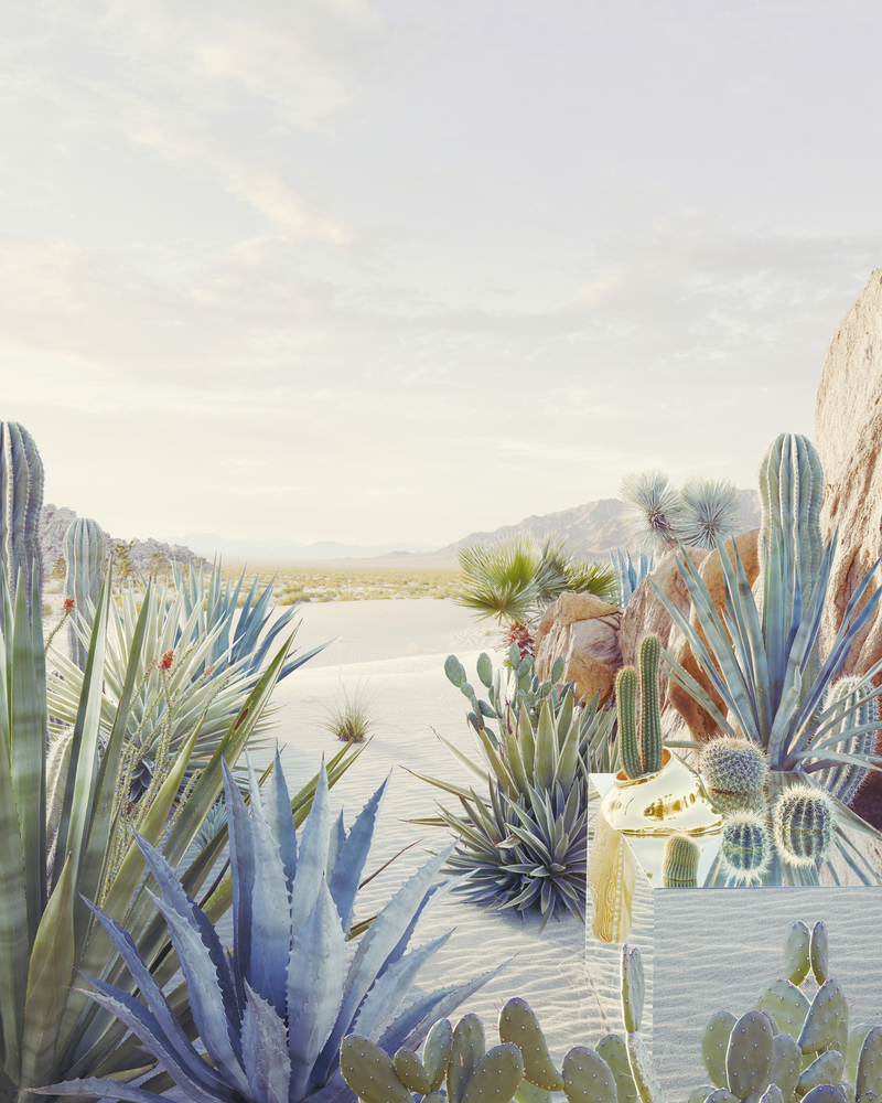 Dean West, Still Life # 1, (Desert Oasis) Requiem, 2018