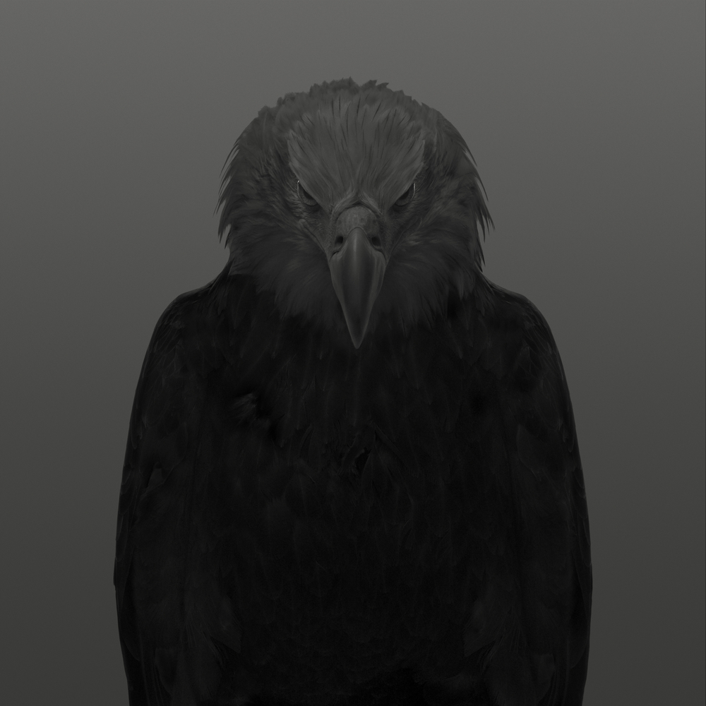 Dean West  Bald Eagle # 1, American West, 2025