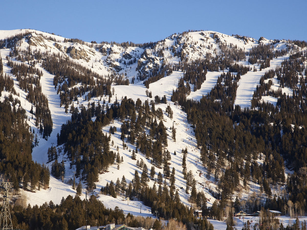 Nathan Coe  Jackson Hole Mountain, 2025