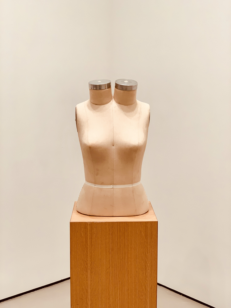 ANNETTE LEMIEUX

Torso After Trockel

1991

Brassiere form and wood pedestal, ed. of three

23 1/8 by 13 by 10 5/8 in.&amp;nbsp; 58.7 by 33 by 27 cm.

(MI&amp;amp;N 15375)