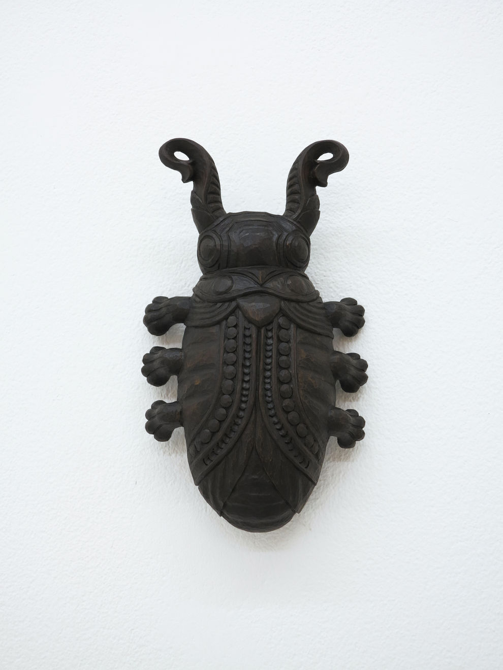 René Odermatt, Käfer (Stiefelknecht), 2016