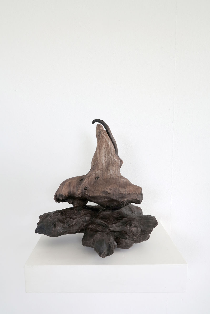 René Odermatt, Portrait Nr. 12, 2018