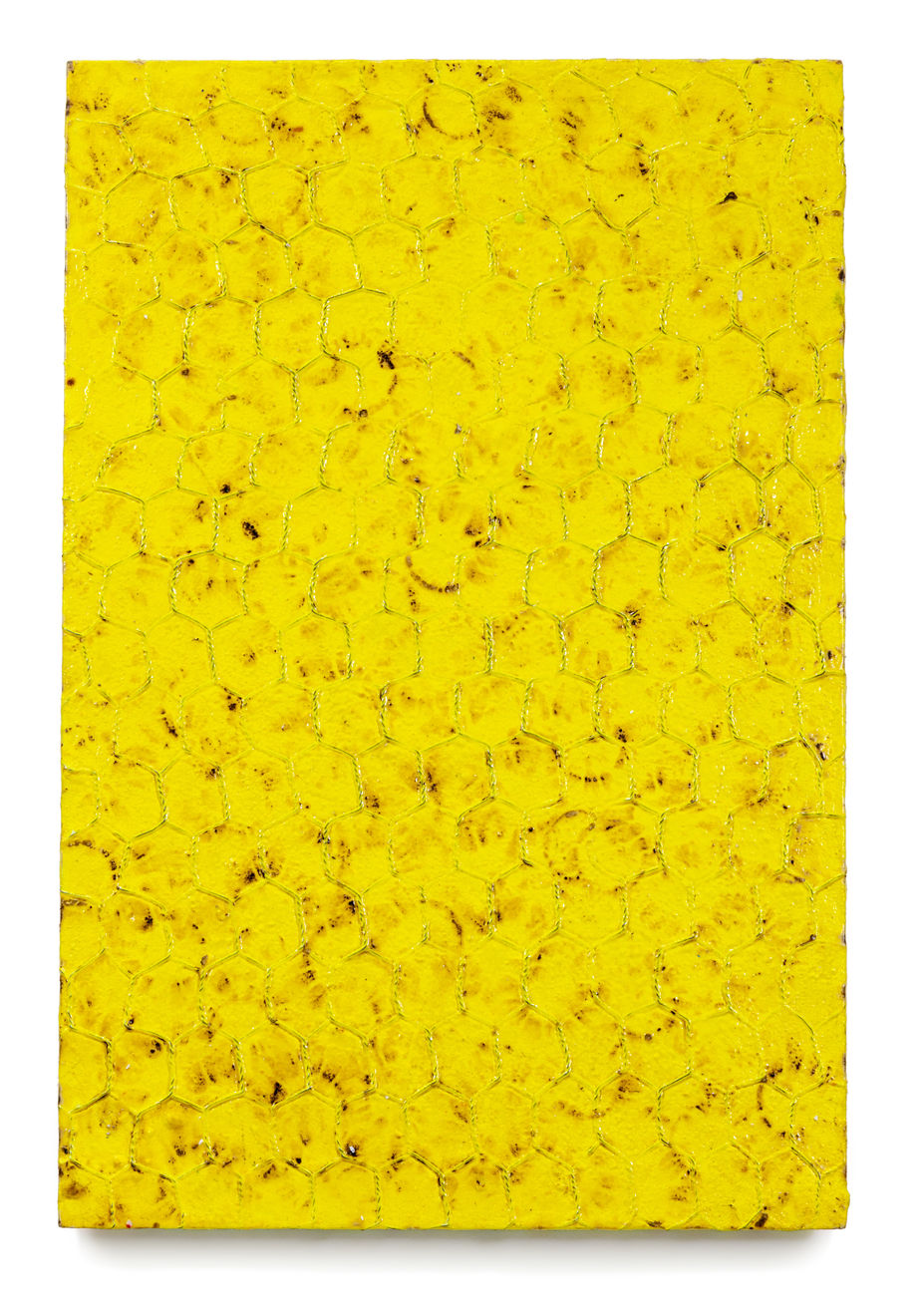 Alan Bee, Animamundi, 1979