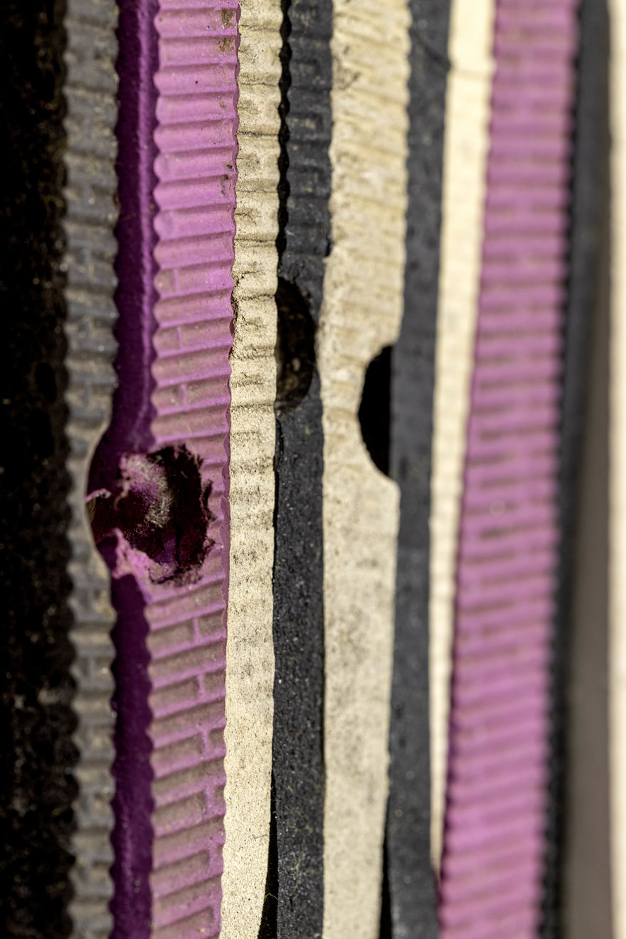 Zé Tepedino, Serie ascenção, 2024