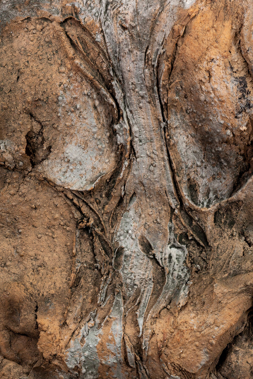 Nanni Valentini, Studio (da il Vaso e il Polipo), 1978-82